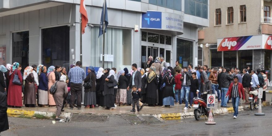 Yılmaz Özdil: Düpedüz yalan olduğunu kendileri de biliyor