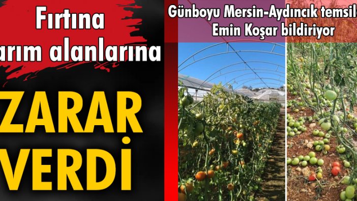 Fırtına tarım alanlarına zarar verdi