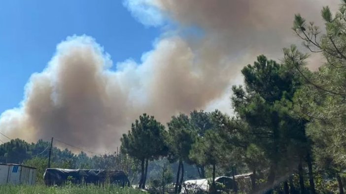 İstanbul'da orman yangını